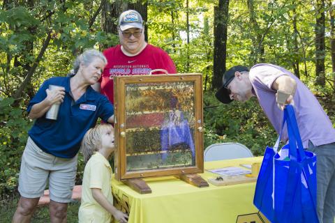 Discover the Wild World of Insects at Lake Accotink's Bug Fest